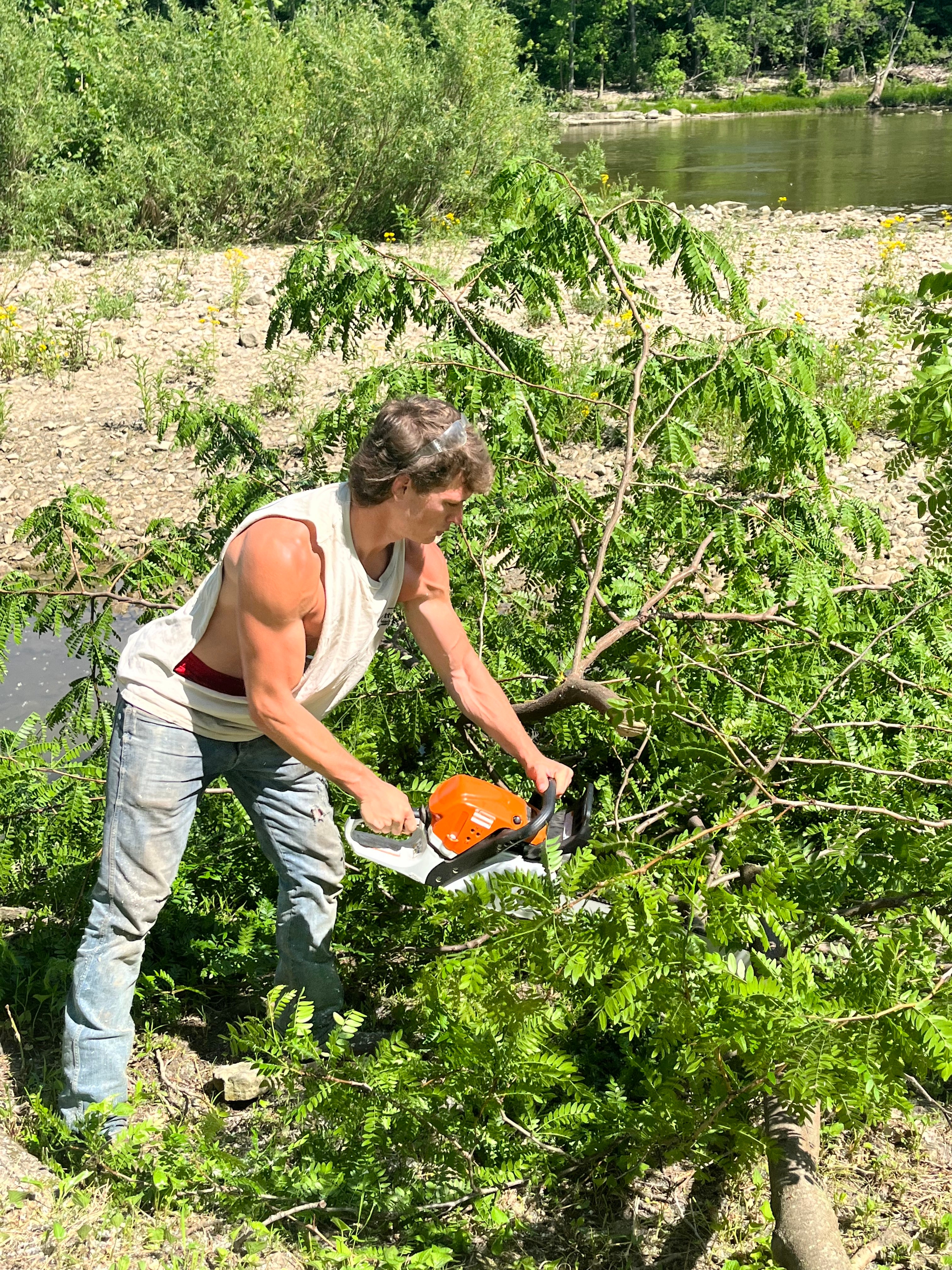 Cutters Tree care